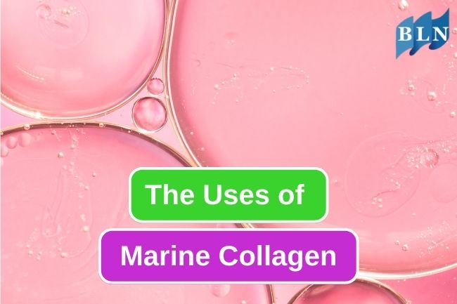 5 Uses Of Marine Collagen To Human Health